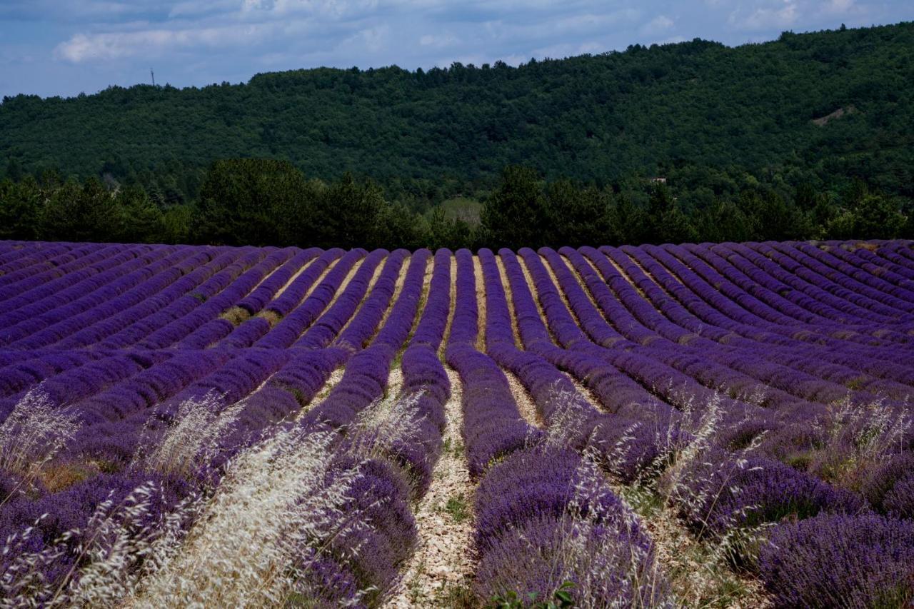 Gite La Bastide De La Loge Au Pied Du Mont Ventoux โซลต์-เดอ-โวคลูซ ภายนอก รูปภาพ
